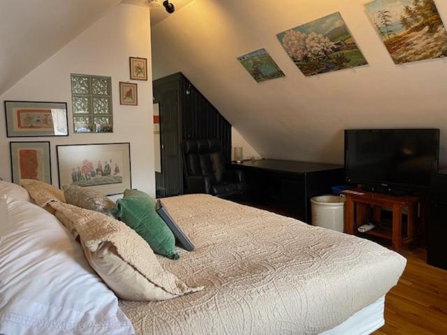 King Room View