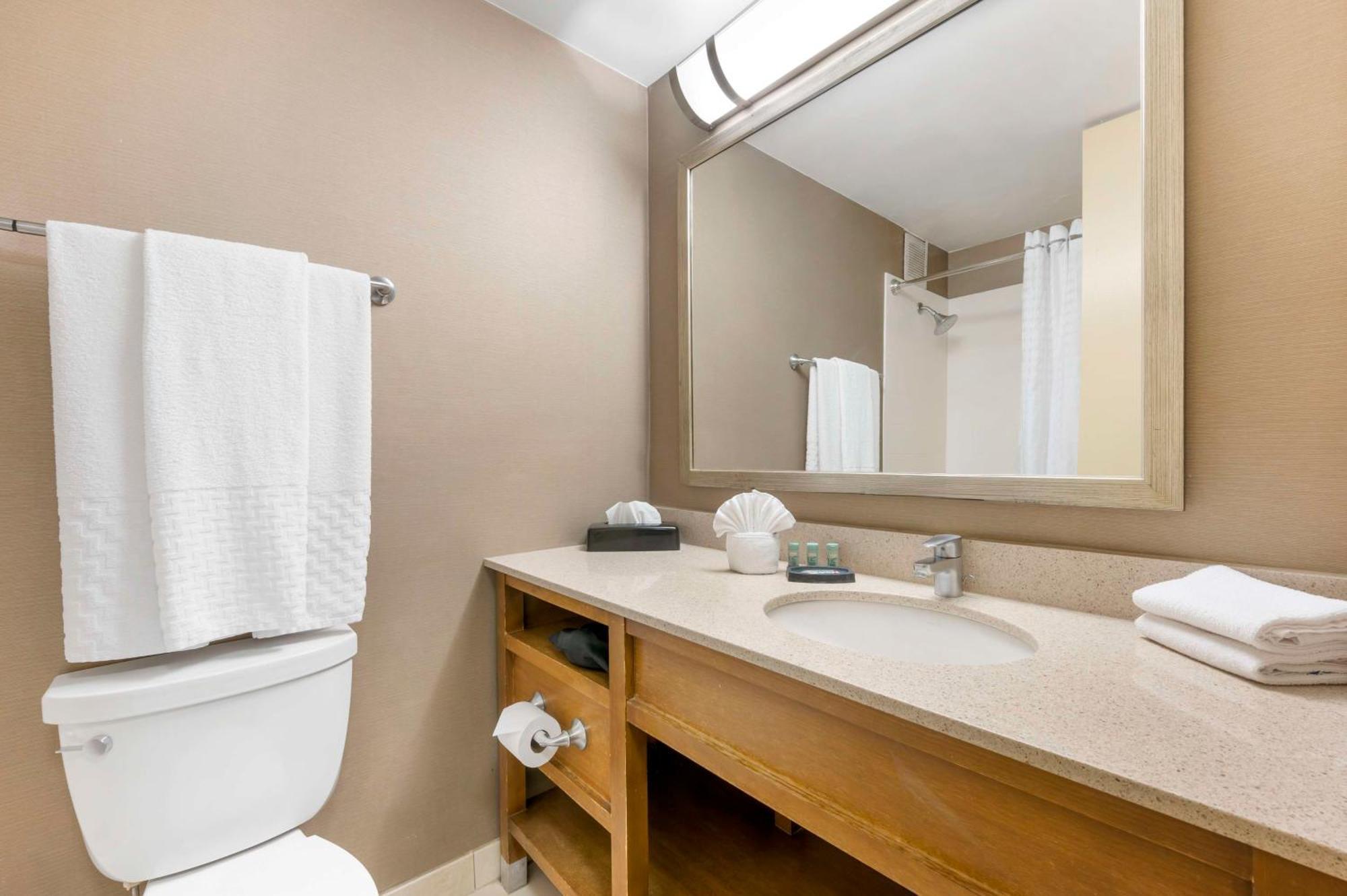 Suite Lit King-Size avec Canapé-Lit - Non-Fumeurs
