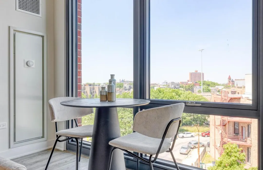 River W Studio W Gym Bbq Nr Blue Line Chi-676-1