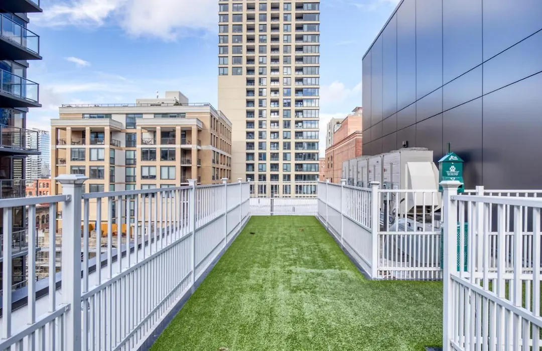 River North 1Br W Gym Lounge Roof Nr Riverwalk Chi-888-1