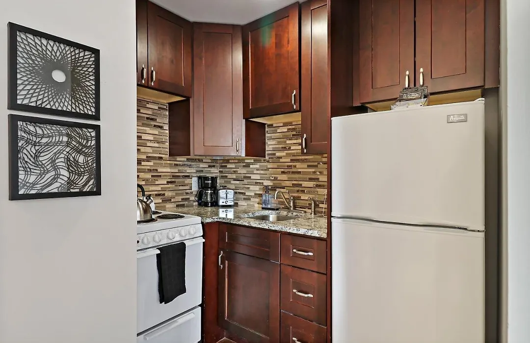 Chic And Roomy Studio Apt In The Near North Side - Chestnut 16D-1