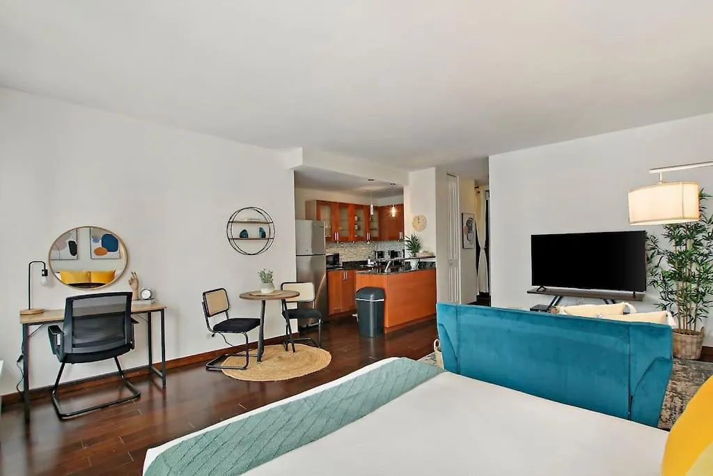 Studio Apt With Full Kitchen & Updated Bathroom - Chestnut 15C-1