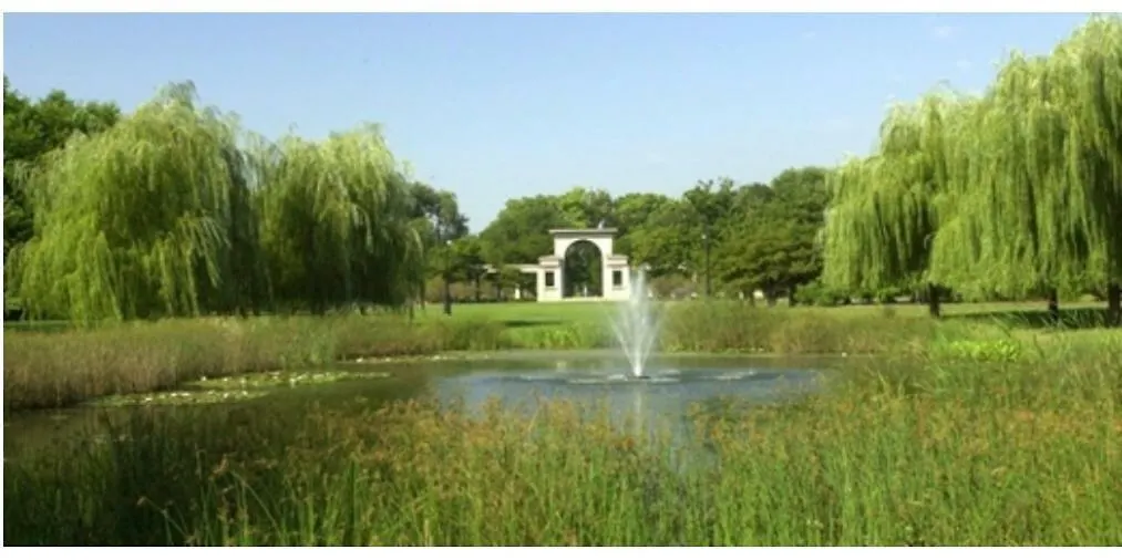 Perfect Place To Enjoy The City Or Just Relax-1