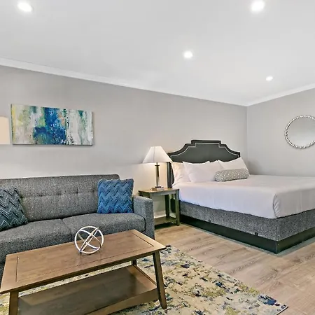Modern Style City Centre Studio Apartment Lakeview-3