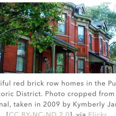 Large Executive Row House In Historic Pullman-3