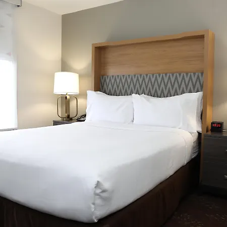 Holiday Inn O'Hare Area By Ihg-2