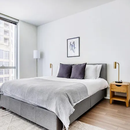 Streeterville Studio W Gym Pool Nr Navy Pier Chi-394-2