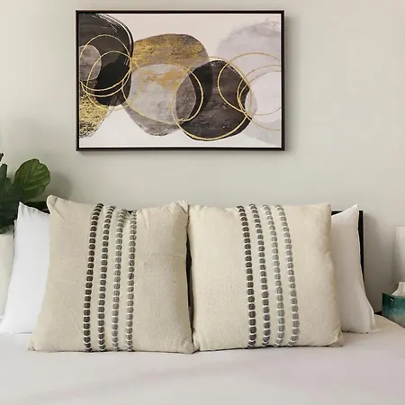 Chic And Roomy Studio Apt In The Near North Side - Chestnut 16D-3