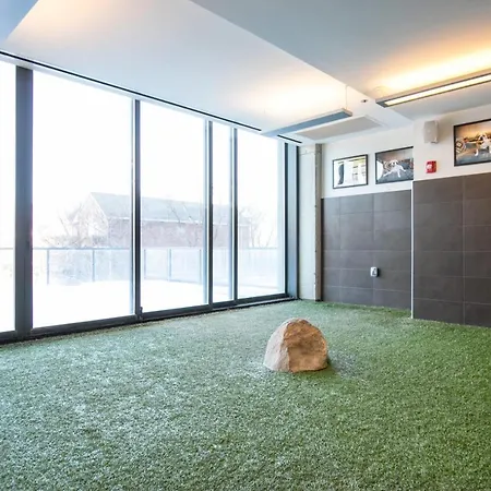 Near North Jr 1Br W Doorman Wd Gym Nr I-90 Chi-871-3