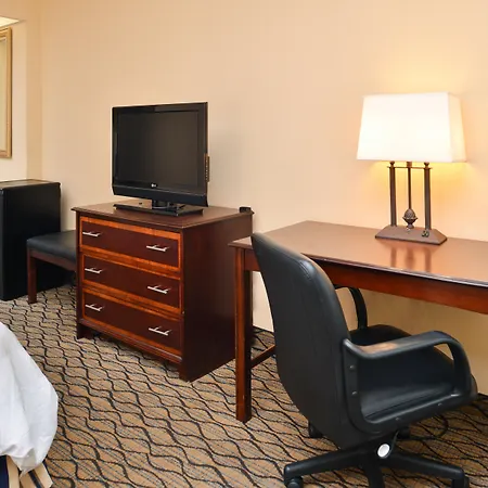 Holiday Inn & Suites Chicago-Downtown By Ihg-3
