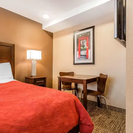 Rodeway Inn Chicago/Evanston-3