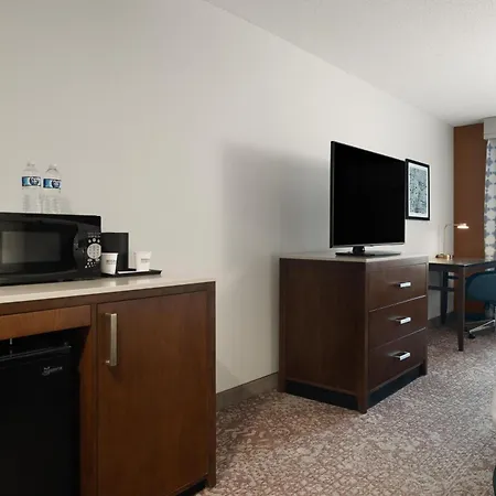 Hilton Garden Inn Chicago Downtown/Magnificent Mile-3