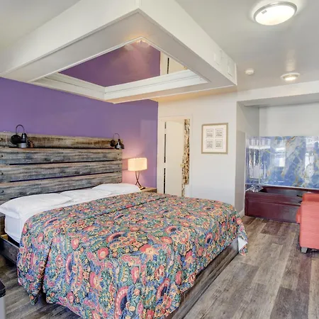 Hotel O Miami Inn & Suites Chicago Midway Airport-3