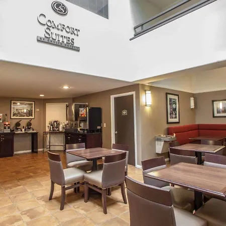 Comfort Suites Michigan Avenue-2