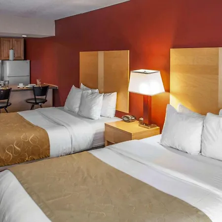 Comfort Suites Michigan Avenue-2