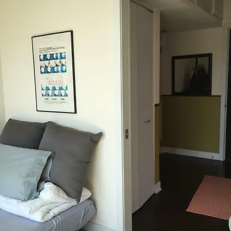 Solo Traveler Fulton Market Private Bedroom And Private Bath In Shared Unit-3