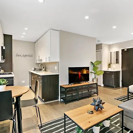 Best Studio Apt In Chicago Close To Boystown - Oakdale 204 Rep-2