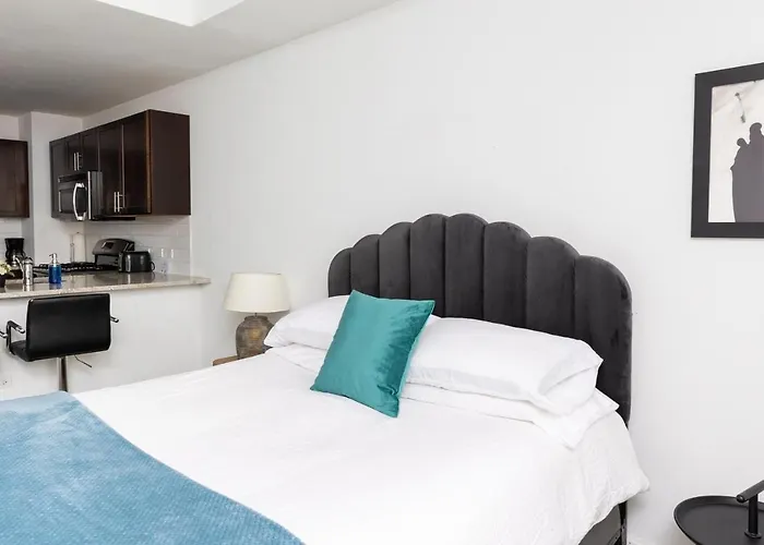 Frontdesk Debonair Studio Apt With City View Chicago che accetta animali