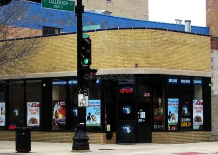 Penthouse Of Joy With Over 4000 Games! Chicago