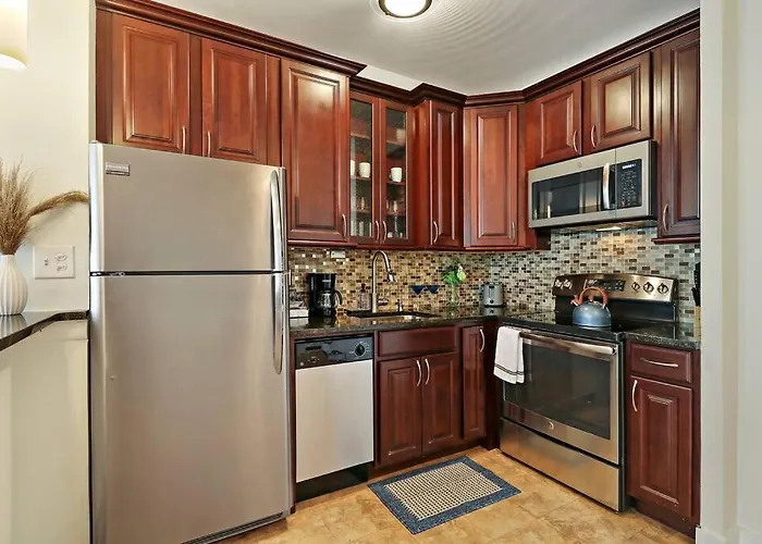 1Br Charming Apartment In Great Location - Chestnut 19H Chicago