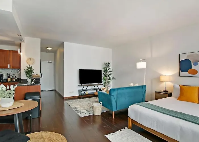 Studio Apt With Full Kitchen & Updated Bathroom - Chestnut 15C Chicago