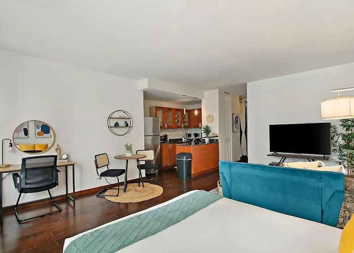 Studio Apt With Full Kitchen & Updated Bathroom - Chestnut 15C Chicago