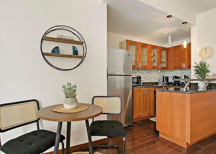 Studio Apt With Full Kitchen & Updated Bathroom - Chestnut 15C Chicago
