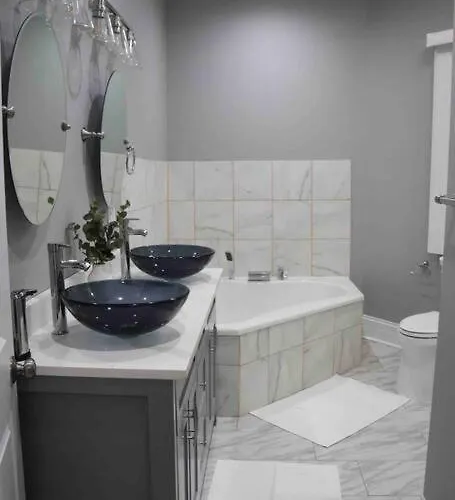 Upscale Apartment Westside Of Chicago acceptant les animaux