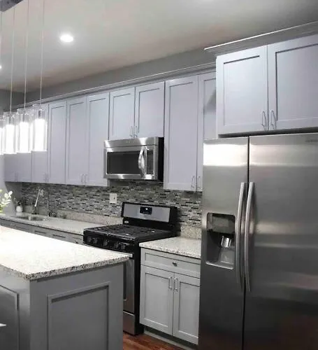 Upscale Apartment Westside Of Chicago acceptant les animaux