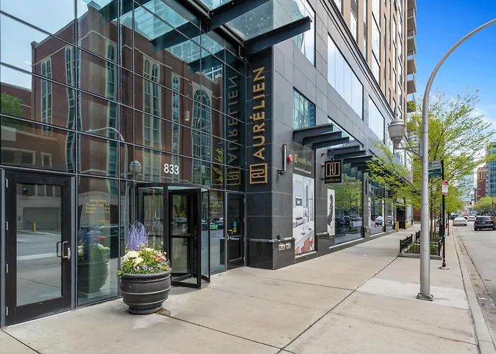 Aurelien Spacious Apartments In The Heart Of Gold Coast Chicago che accetta animali