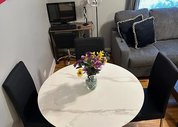 Entire Apt In Heart Of Chicago