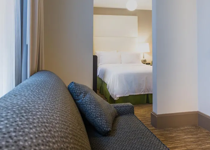 Boutique Holiday Inn Express Chicago - Magnificent Mile By Ihg