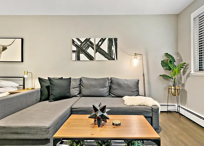 Best Studio Apt In Chicago Close To Boystown - Oakdale 204 Rep