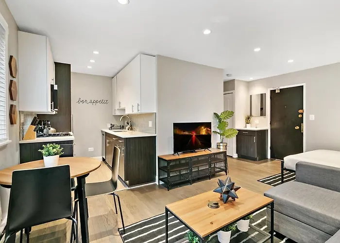 Best Studio Apt In Chicago Close To Boystown - Oakdale 204 Rep