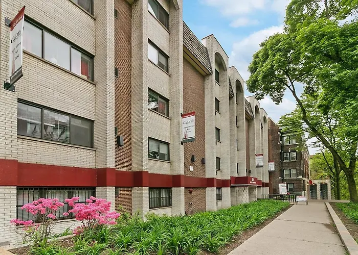 Best Studio Apt In Chicago Close To Boystown - Oakdale 204 Rep